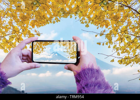 Frau Hand ein Foto Fuji Berg mit Ginkgo Baum durch das Smartphone Stockfoto