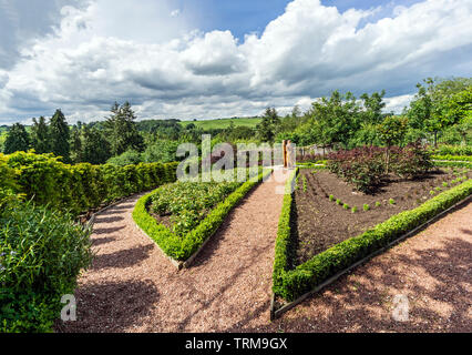 Hölzerne Statue von Braveheart Sir William Wallace im Rosengarten Castlebank Park Lanark South Lanarkshire Schottland Großbritannien Stockfoto