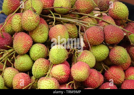 Bündel von Frische litschi Obst sind an einer im Markt verkauft. Stockfoto