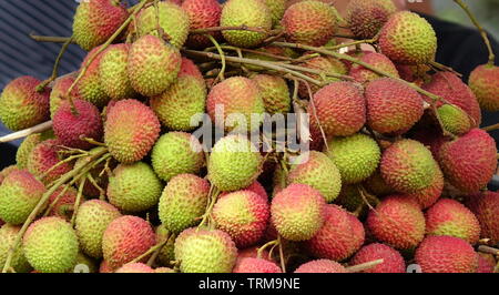 Bündel von Frische litschi Obst sind an einer im Markt verkauft. Stockfoto