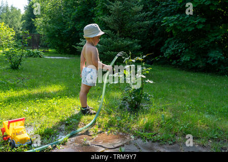 Little boy Bewässerung Rosenbusch mit einem Schlauch. Stockfoto