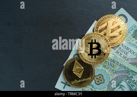 Physische Bitcoin, Litecoin und des Astraleums Goldmünzen mit polnischen Währung (PLN) auf einem schwarzen Stein Schiefer Platte mit Kette. Abstrac Cryptocurrency exchange Stockfoto