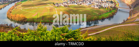 Panoramablick auf die Mosel, hier bildet die schmale Mosel Schleife um die Stadt Neustadt an der Weinstraße. Stockfoto