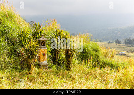 Reisfeld mit Altar für Angebote Dewi Sri (Reis Mutter), Jatiluwih Reis Terrassen, Tabanan, Insel Bali, Indonesien Stockfoto