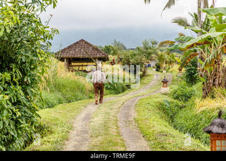 Bauer gehen bei Jatiluwih Reis Terrassen. Ländliche Landschaft. Tabanan, Bali, Indonesien Stockfoto