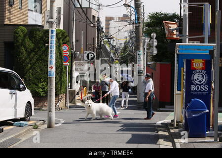 Menschen auf einer hügeligen Straße in Tokyos Wolko Bereich an einem sonnigen Frühlingstag. Stockfoto