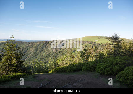 Gipfel der Feldberg mit 1493 m Bild wurde von Stübenwasen 1388 m, Schwarzwald. Stockfoto