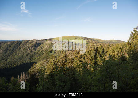 Gipfel der Feldberg mit 1493 m Bild wurde von Stübenwasen 1388 m, Schwarzwald. Stockfoto