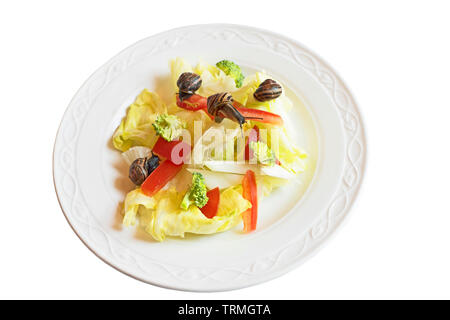 Teller mit Salat gegen den weißen Hintergrund mit vier live Braun lippig Schnecken, Cepaea nemoralis,, eine Parodie auf das Konzept des Veganismus, das Essen fad Rezepte. Stockfoto