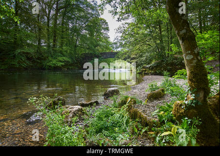 Clappersgate Brücke über den Fluss Brathay, in der Nähe der Clappersgate, Ambleside, Lake District, Cumbria, England, UK, GB. Stockfoto