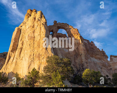 Grosvenor Arch, Cottonwood Wash Road 400, Grand Staircase-Escalante National Monument südlich von Cannonville, Utah. Stockfoto