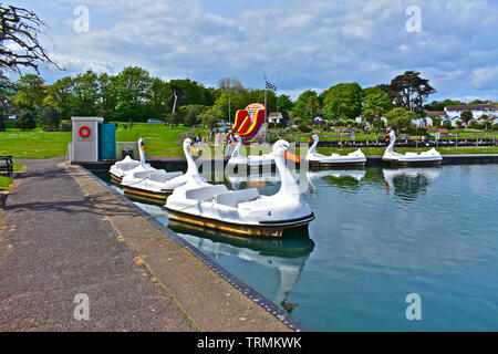 Eine bunte Szene der hübschen Schwan Paddel Boote aufgereiht auf dem See zum Bootfahren Am Goodrington Park. Aufblasbare Rutsche hinter mit go kart Schiene zur Seite. Stockfoto