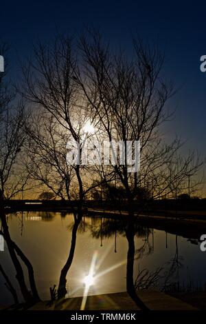 Winter Bäume entlang der Ufer von Lindsey City Park Public Angelsee, Canyon, Texas Stockfoto