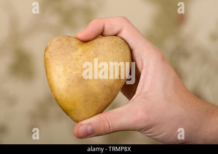 Kartoffeln in der Hand, Herz geformt. Stockfoto