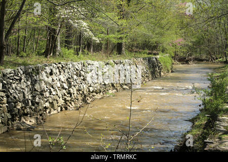 Frühling an der Great Falls, MD, USA, Ansicht der Patowmack Canal Trail. Stockfoto