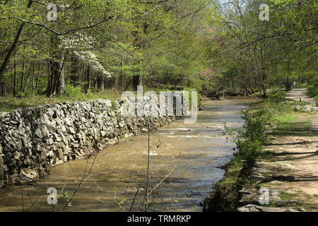 Frühling an der Great Falls, MD, USA, Ansicht der Patowmack Canal Trail. Stockfoto