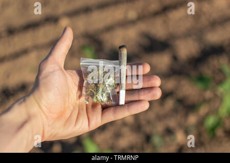 Das Rauchen von Marihuana in einem natürlichen Ort. Einen Mann mit einem grossen Marihuana gemeinsame und eine Plastiktüte mit Unkraut an einem sonnigen Tag auf der Straße. Stockfoto
