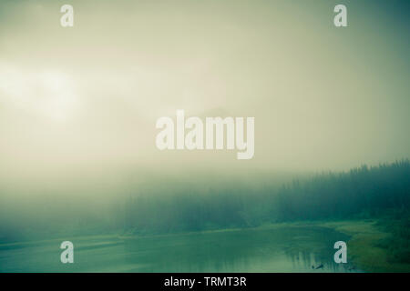 Nebligen Morgen in den Rocky Mountains - Alberta, Kanada Stockfoto