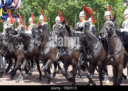 Blues und Royals des Household Cavalry für die Farbe 2019 Stockfoto