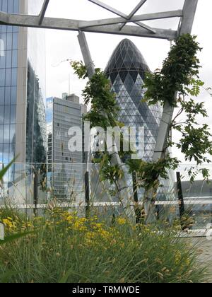 Blick von den Dächern in der 'Garten', 120 Fenchurch Street in Richtung The Gherkin und benachbarten Wolkenkratzer Stockfoto