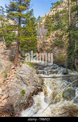 Die Big Thompson River chruns durch eine Schlucht am Pool im Rocky Mountain National Park, Colorado Stockfoto