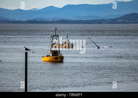 Morecambe, Lancashire, UK. 9. Juni 2019 Fischerbooten am anchhor auf dem Schutze des Morecambe Stein Steg am späten Abend Sonne Stockfoto