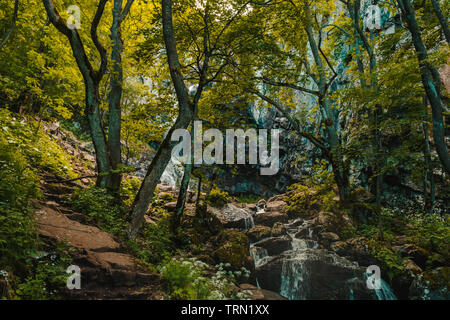 Boyana Wasserfall in Berg Vitosha Sofia Bulgarien Stockfoto