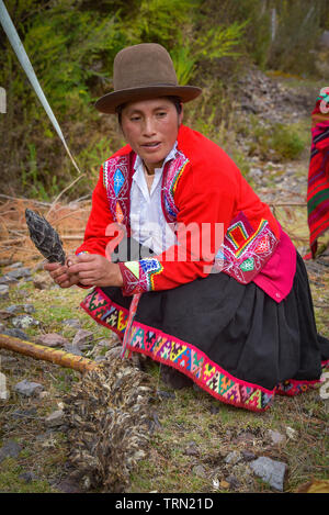 Heiliges Tal, Cusco, Peru - 13.Oktober 2018: die indigenen Quechua Dame mit Achupalla Pflanzen in der yachaq Gemeinschaft von Janac Chuquibamba Stockfoto