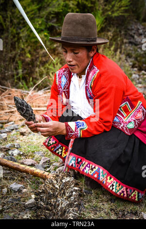 Heiliges Tal, Cusco, Peru - 13.Oktober 2018: die indigenen Quechua Dame mit Achupalla Pflanzen in der yachaq Gemeinschaft von Janac Chuquibamba Stockfoto