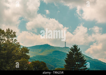 Vitosha Mountain Forest in Bulgarien Stockfoto