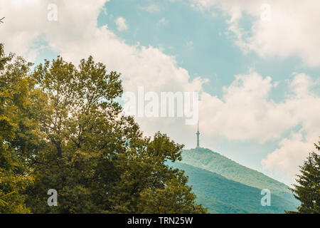 Vitosha Mountain Forest in Bulgarien Stockfoto