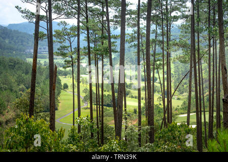 Swiss-Belresort Tuyen Lam, Stadt Da Lat, Provinz Lam Dong, Vietnam - Mai 22, 2019: Der Golfplatz im luxuriösen Resort Swiss-Belresort Tuyen Lam, Da Stockfoto