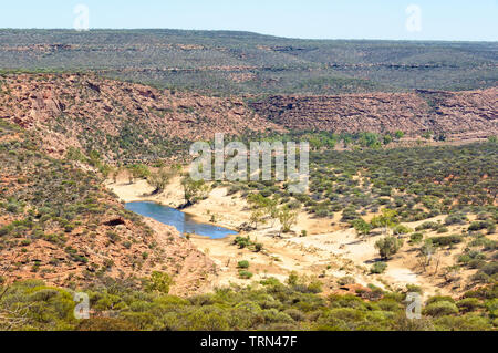 Kleine Oase in der Murchison Schlucht - Kalbarri, WA, Australien Stockfoto