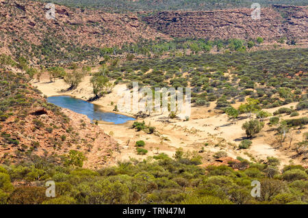 Kleine Oase in der Murchison Schlucht - Kalbarri, WA, Australien Stockfoto