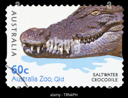 Australien - ca. 2012: einen Stempel in den Australien gedruckten zeigt Salzwasser Krokodil in den Australia Zoo, Qld, circa 2012. Stockfoto