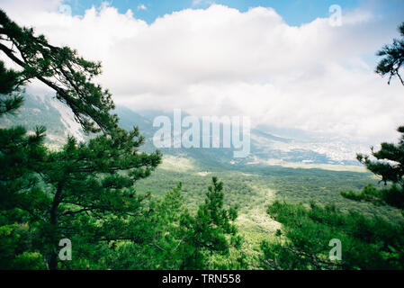 Jalta. Krim. Russland. Blick auf die Hochebene. Landschaft mit Wald mit grünen Bäumen. Stockfoto