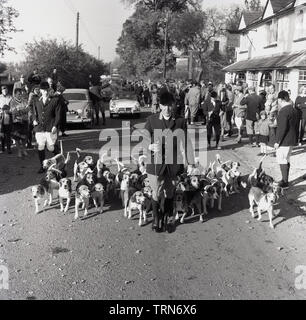 1965, historische, im ländlichen England, lokale treffen sich Leute aus dem Dorf Pub, den Harrow, im Bishopstone, bereit, die Jagd zu folgen, als der Meister von Hunden auf den Weg hinunter die Straße mit einer Packung von Beagle Hunde, Aylesbury, Buckinghamshire, England, UK. Zu dieser Zeit im Besitz der Aylesbury Brewery Company (ABC) die Egge Pub in 2014 geschlossen, das Schicksal von vielen Britischen Dorf Pubs. Stockfoto