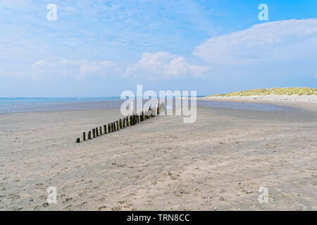 Reihe alter Holz- Beiträge auf West Wittering Strand bei Ebbe. Stockfoto