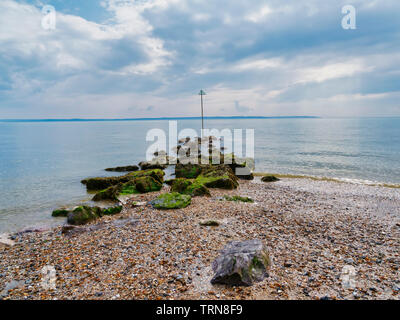 Algen bedeckten Felsen bei Ebbe auf Lee auf Solent Strand. Stockfoto