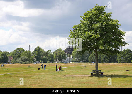 Wimbledon Common, im Südwesten von London, UK, Sommer. Menschen zu Fuß und sitzen auf der offenen Wiese um rushmere Teich in der Nähe von Wimbledon Village. Stockfoto