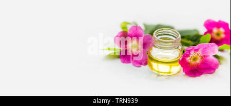 Wildrosenöl Flasche closeup, selektiver Fokus mit Hagebutten Blumen und Glasflasche Stockfoto