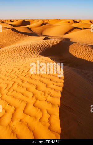 Sanddünen mit einem Muster von Wellen in den Abend unter einem hellen Himmel. Sahara, Tunesien, Südafrika. Stockfoto