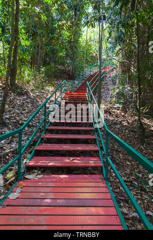 Leeres rotes Holztreppe geht nach oben durch einen tropischen Wald am Tag. Touristische Gehweg in Kota Kinabalu, Malaysia Stockfoto