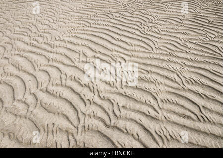 Full Frame abstrakte Sicht der natürlichen Grafik welligkeit Muster in strukturierten Sand am Strand bei Ebbe Stockfoto