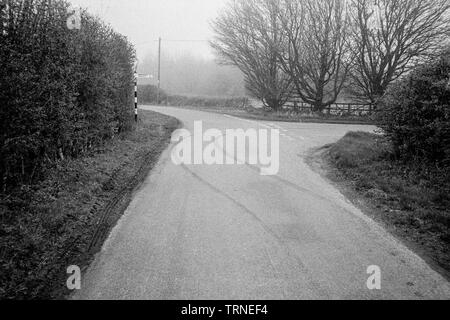 Reifenspuren auf der Straße, Straße, Hattingley Medstead, Alton, Hampshire, England, Vereinigtes Königreich Stockfoto