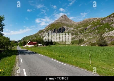 Heroy Island, Norwegen, Sommer 2019. Stockfoto