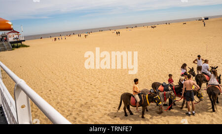 Eine Gruppe von Kindern saß auf Esel warten auf einem Esel reiten entlang Great Yarmouth Strand an einem sonnigen Samstag Nachmittag zu gehen Stockfoto