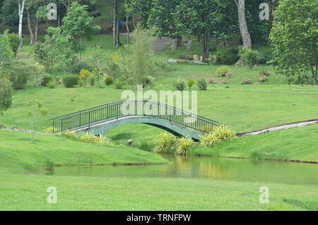 Brücke in einem Park Stockfoto