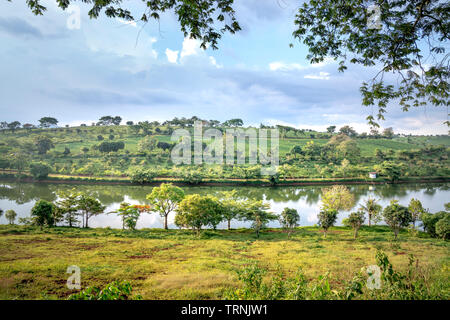 Der Panoramablick von Tam Chau Kaffee Bauernhof in Bao Loc, Provinz Lam Dong, Vietnam Stockfoto