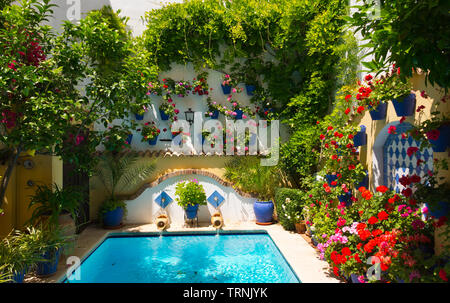 Traditionelle mit Blumen dekorierte Terrasse in Cordoba, Spanien, duriing das Festival de los Patios Cordobeses Laguna Stockfoto